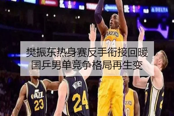 樊振东热身赛反手衔接回暖 国乒男单竞争格局再生变